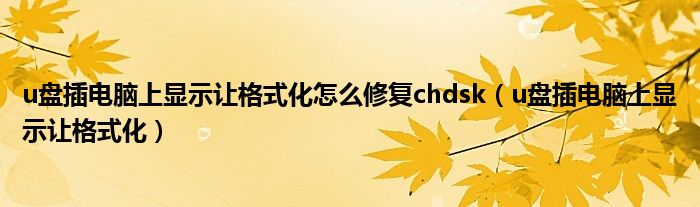 u盤插電腦上顯示讓格式化怎么修復chdsk（u盤插電腦上顯示讓格式化）
