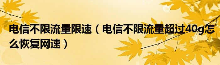 電信不限流量限速（電信不限流量超過40g怎么恢復網速）