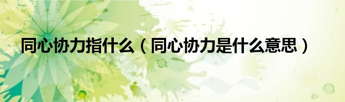同心協(xié)力指什么（同心協(xié)力是什么意思）