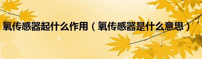 氧傳感器起什么作用（氧傳感器是什么意思）