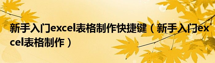 新手入門(mén)excel表格制作快捷鍵（新手入門(mén)excel表格制作）