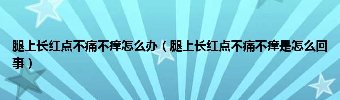 腿上長紅點不痛不癢怎么辦（腿上長紅點不痛不癢是怎么回事）