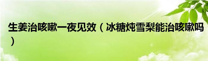 生姜治咳嗽一夜見效（冰糖燉雪梨能治咳嗽嗎）