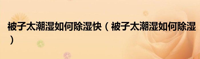 被子太潮濕如何除濕快（被子太潮濕如何除濕）