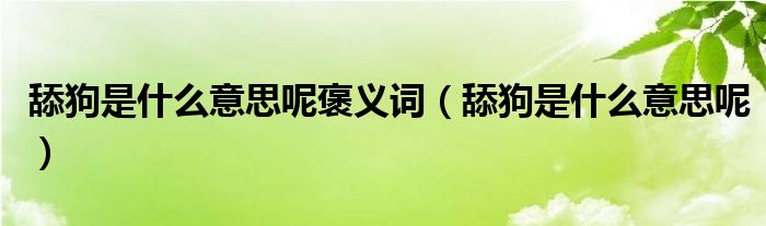 舔狗是什么意思呢褒義詞（舔狗是什么意思呢）