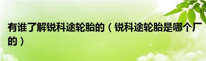 有誰(shuí)了解銳科途輪胎的（銳科途輪胎是哪個(gè)廠的）