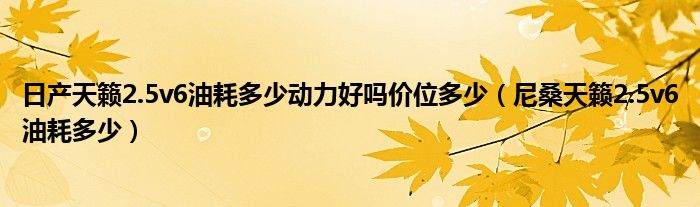 日產(chǎn)天籟2.5v6油耗多少動(dòng)力好嗎價(jià)位多少（尼桑天籟2.5v6油耗多少）
