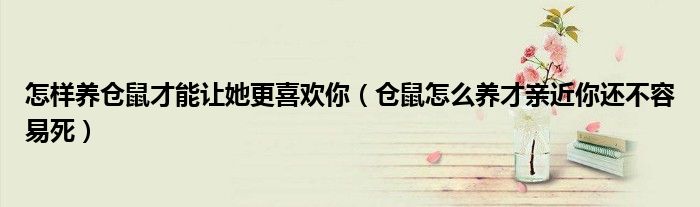 怎樣養(yǎng)倉鼠才能讓她更喜歡你（倉鼠怎么養(yǎng)才親近你還不容易死）