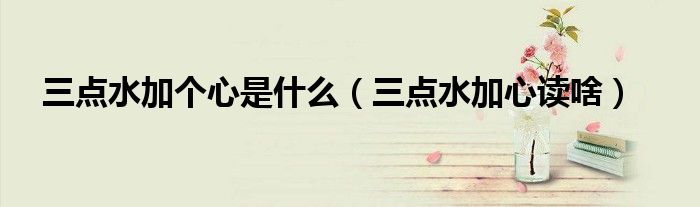 三點水加個心是什么（三點水加心讀啥）