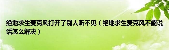 絕地求生麥克風(fēng)打開了別人聽不見（絕地求生麥克風(fēng)不能說話怎么解決）