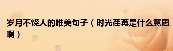 歲月不饒人的唯美句子（時光荏苒是什么意思啊）
