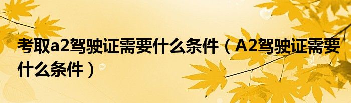 考取a2駕駛證需要什么條件（A2駕駛證需要什么條件）