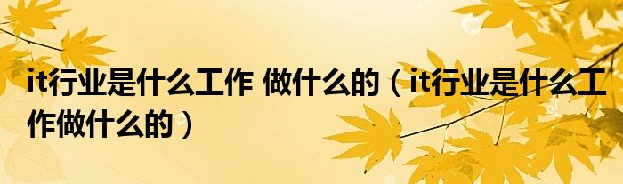 it行業(yè)是什么工作 做什么的（it行業(yè)是什么工作做什么的）