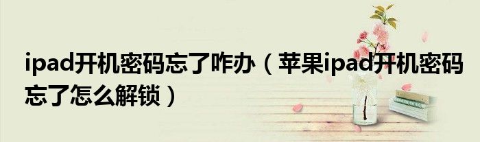 ipad開機(jī)密碼忘了咋辦（蘋果ipad開機(jī)密碼忘了怎么解鎖）
