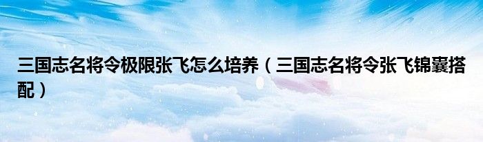 三國(guó)志名將令極限張飛怎么培養(yǎng)（三國(guó)志名將令張飛錦囊搭配）