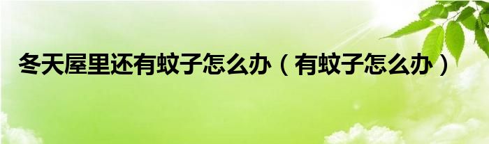 冬天屋里還有蚊子怎么辦（有蚊子怎么辦）