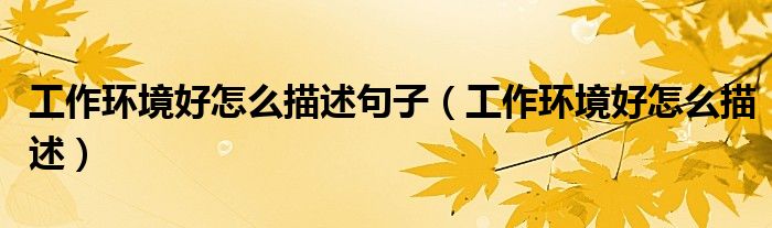 工作環(huán)境好怎么描述句子（工作環(huán)境好怎么描述）