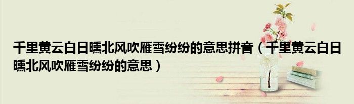 千里黃云白日曛北風吹雁雪紛紛的意思拼音（千里黃云白日曛北風吹雁雪紛紛的意思）
