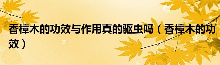 香樟木的功效與作用真的驅(qū)蟲嗎（香樟木的功效）