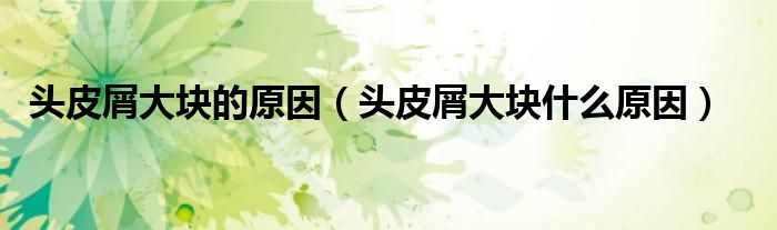 頭皮屑大塊的原因（頭皮屑大塊什么原因）