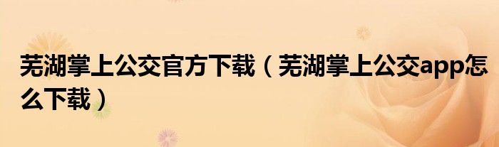 蕪湖掌上公交官方下載（蕪湖掌上公交app怎么下載）