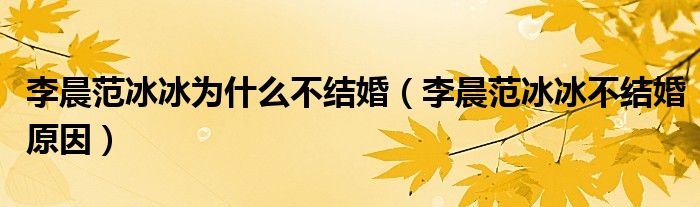 李晨范冰冰為什么不結(jié)婚（李晨范冰冰不結(jié)婚原因）