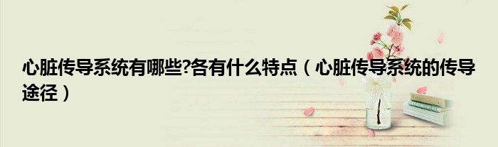 心臟傳導(dǎo)系統(tǒng)有哪些?各有什么特點(diǎn)（心臟傳導(dǎo)系統(tǒng)的傳導(dǎo)途徑）