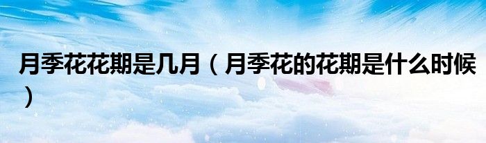 月季花花期是幾月（月季花的花期是什么時(shí)候）