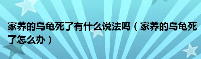 家養(yǎng)的烏龜死了有什么說法嗎（家養(yǎng)的烏龜死了怎么辦）