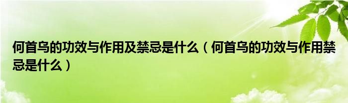 何首烏的功效與作用及禁忌是什么（何首烏的功效與作用禁忌是什么）