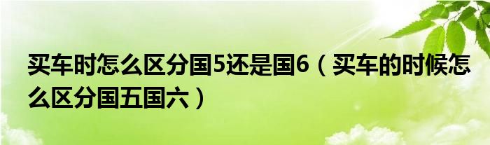 買車時怎么區(qū)分國5還是國6（買車的時候怎么區(qū)分國五國六）