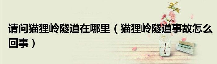 請問貓貍嶺隧道在哪里（貓貍嶺隧道事故怎么回事）
