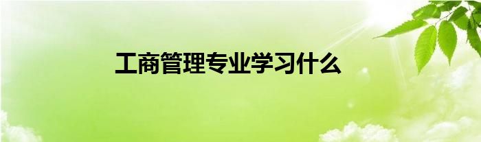 工商管理專業(yè)學(xué)習(xí)什么