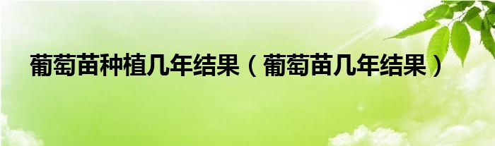 葡萄苗種植幾年結(jié)果（葡萄苗幾年結(jié)果）