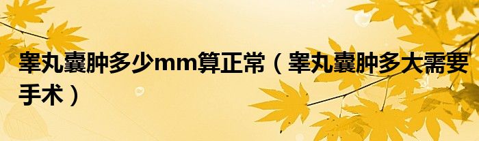 睪丸囊腫多少mm算正常（睪丸囊腫多大需要手術(shù)）