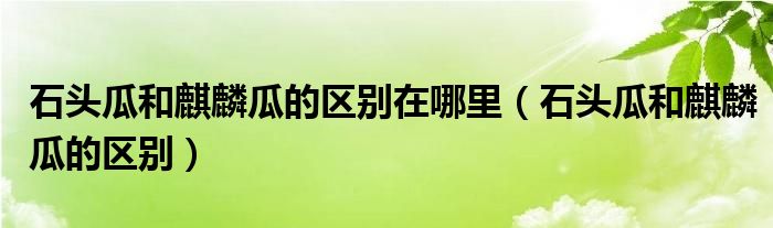 石頭瓜和麒麟瓜的區(qū)別在哪里（石頭瓜和麒麟瓜的區(qū)別）