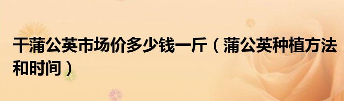干蒲公英市場(chǎng)價(jià)多少錢一斤（蒲公英種植方法和時(shí)間）