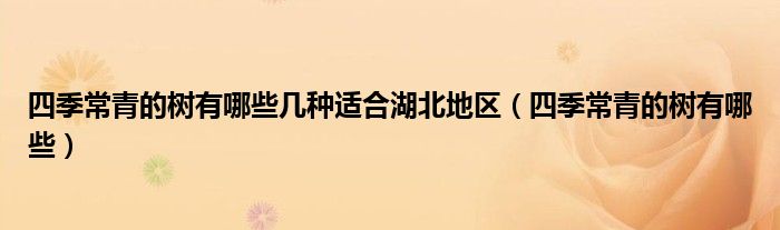 四季常青的樹有哪些幾種適合湖北地區(qū)（四季常青的樹有哪些）