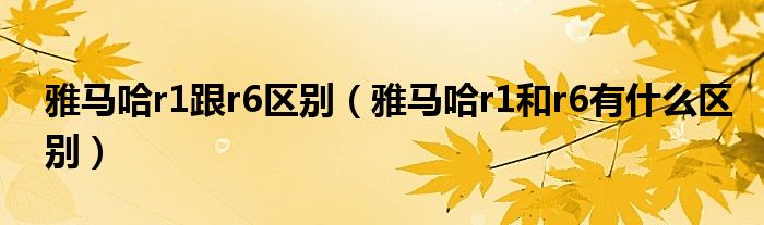 雅馬哈r1跟r6區(qū)別（雅馬哈r1和r6有什么區(qū)別）