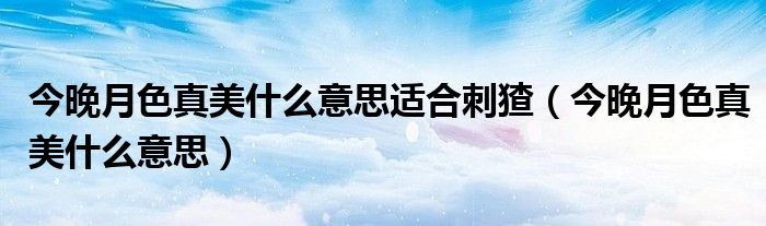 今晚月色真美什么意思適合刺猹（今晚月色真美什么意思）