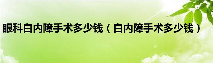 眼科白內(nèi)障手術(shù)多少錢（白內(nèi)障手術(shù)多少錢）
