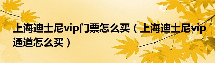 上海迪士尼vip門票怎么買（上海迪士尼vip通道怎么買）