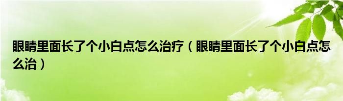 眼睛里面長(zhǎng)了個(gè)小白點(diǎn)怎么治療（眼睛里面長(zhǎng)了個(gè)小白點(diǎn)怎么治）