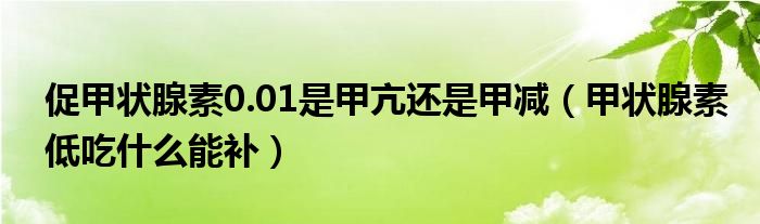促甲狀腺素0.01是甲亢還是甲減（甲狀腺素低吃什么能補(bǔ)）