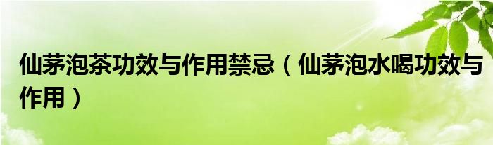 仙茅泡茶功效與作用禁忌（仙茅泡水喝功效與作用）