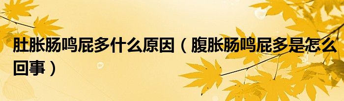 肚脹腸鳴屁多什么原因（腹脹腸鳴屁多是怎么回事）