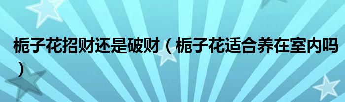 梔子花招財(cái)還是破財(cái)（梔子花適合養(yǎng)在室內(nèi)嗎）