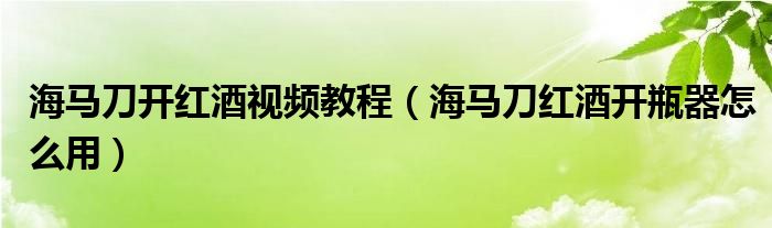 海馬刀開(kāi)紅酒視頻教程（海馬刀紅酒開(kāi)瓶器怎么用）
