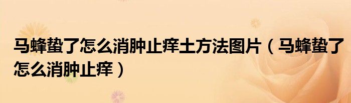 馬蜂蟄了怎么消腫止癢土方法圖片（馬蜂蟄了怎么消腫止癢）
