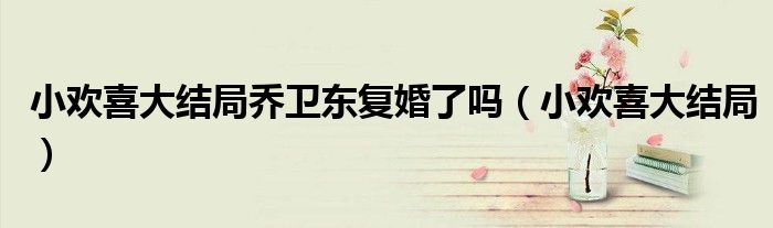 小歡喜大結(jié)局喬衛(wèi)東復(fù)婚了嗎（小歡喜大結(jié)局）